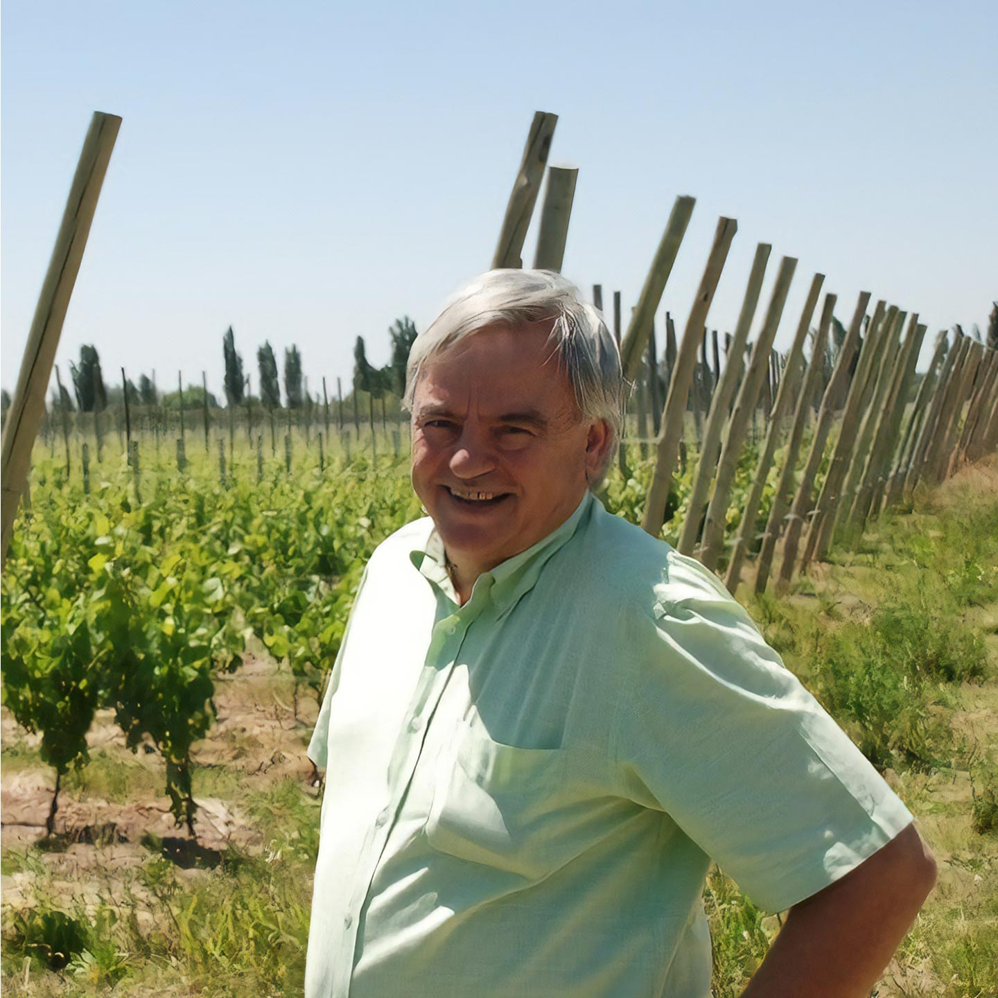 Te wine expert, Panow Zoumpoulis